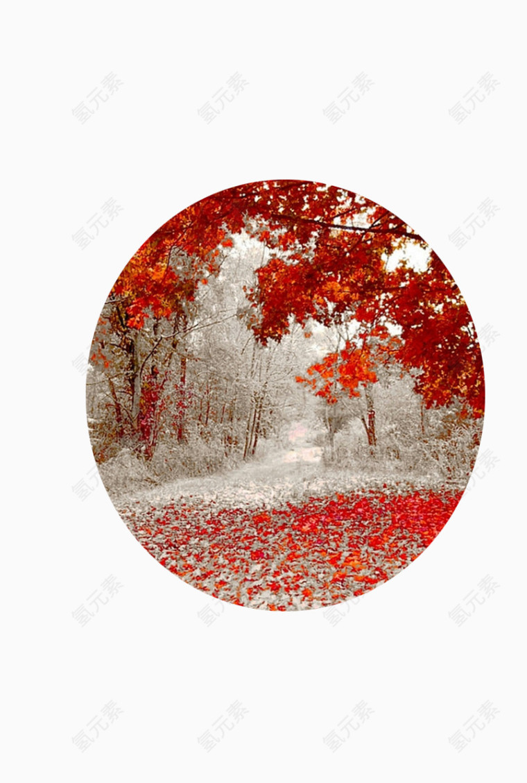 红叶雪景
