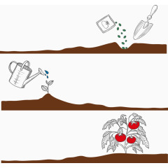 矢量手绘种植的过程