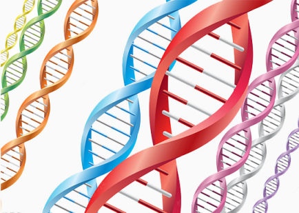 生物DNA图片下载