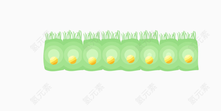 绿色细胞排列