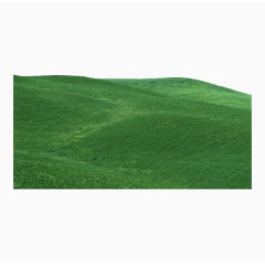 绿色自然草地