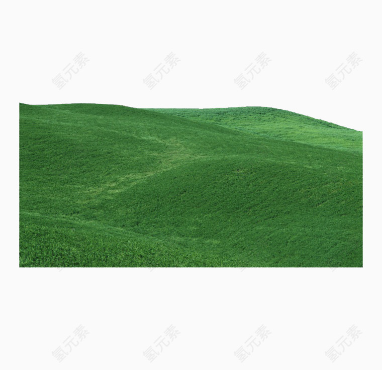 绿色自然草地