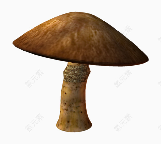 可爱小蘑菇