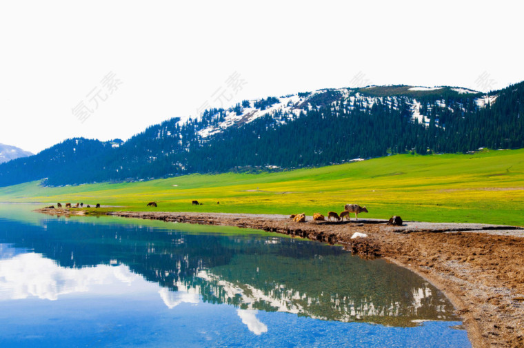 赛里木湖风景