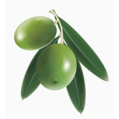 绿色青枣水果装饰图案