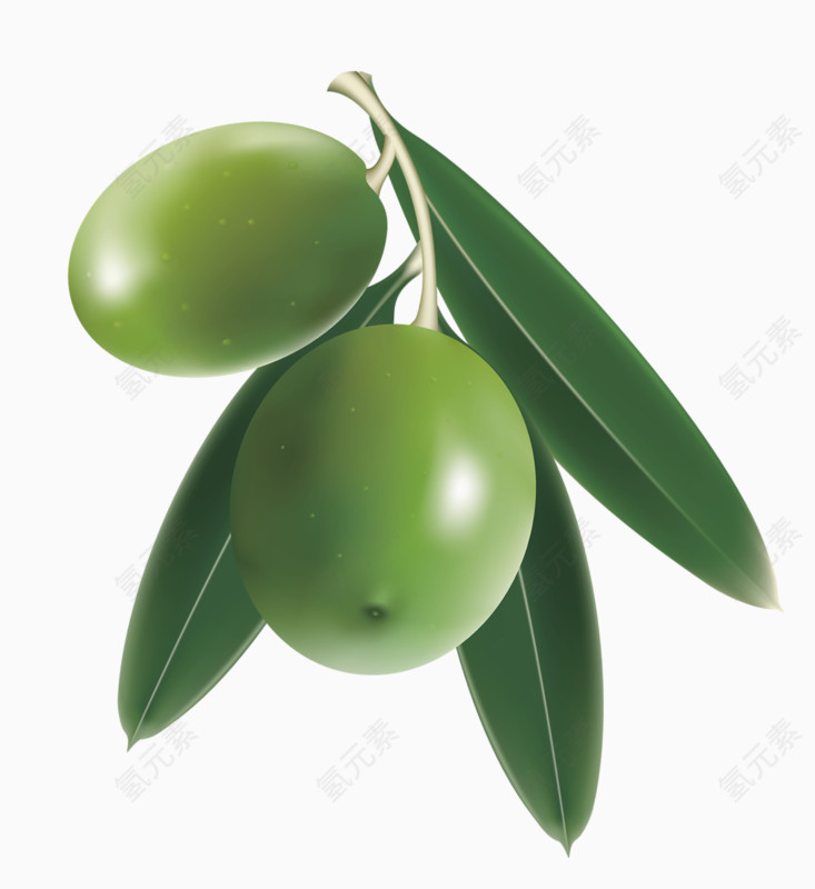 绿色青枣水果装饰图案