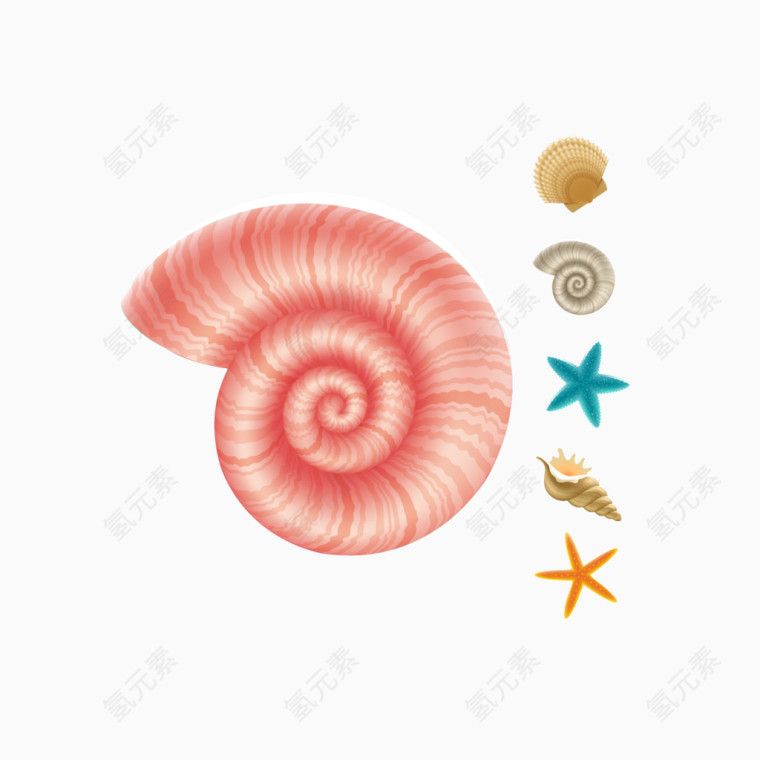 矢量漂亮的海螺