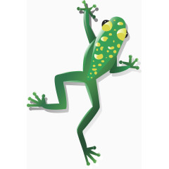 矢量青蛙自然绿色唯美动物