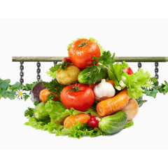 蔬菜和栅栏