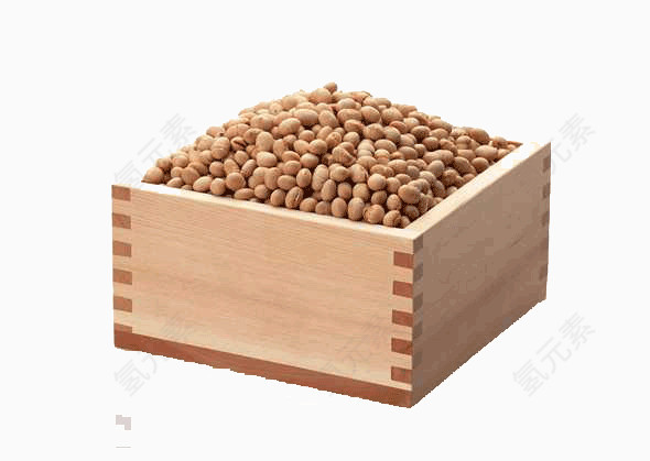 盒子大豆