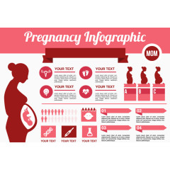 怀孕图表