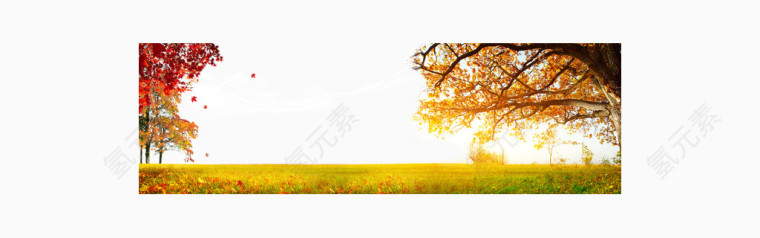 秋季海报版式设计云枫叶树