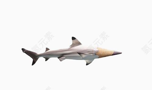 创意鲨鱼铅笔