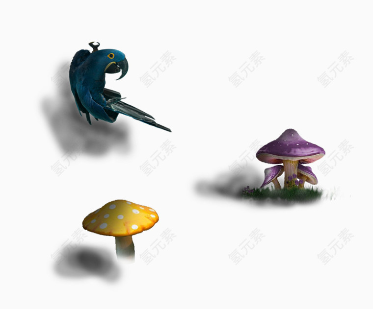 小鸟和蘑菇