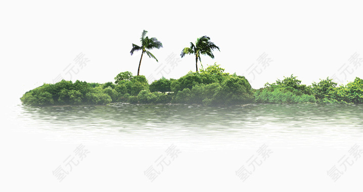 海边的树林和椰子树