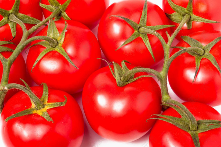美味的番茄水果