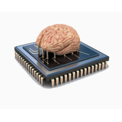大脑技术