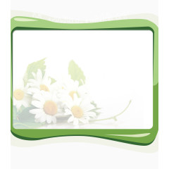 绿色花卉商品背景框