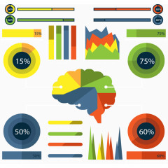 大脑分区数据图表