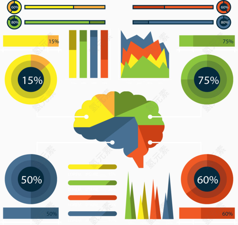 大脑分区数据图表