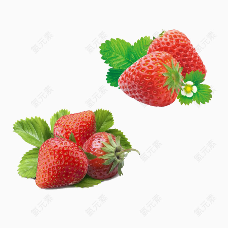 开花的草莓
