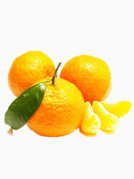 秋季成熟的橘子