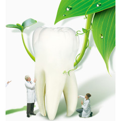 绿色牙齿护理