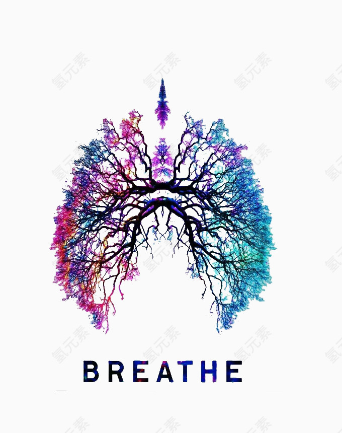 呼吸 肺 树