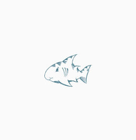 滑板小动物手绘小鱼