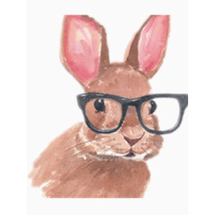 戴眼镜的兔博士