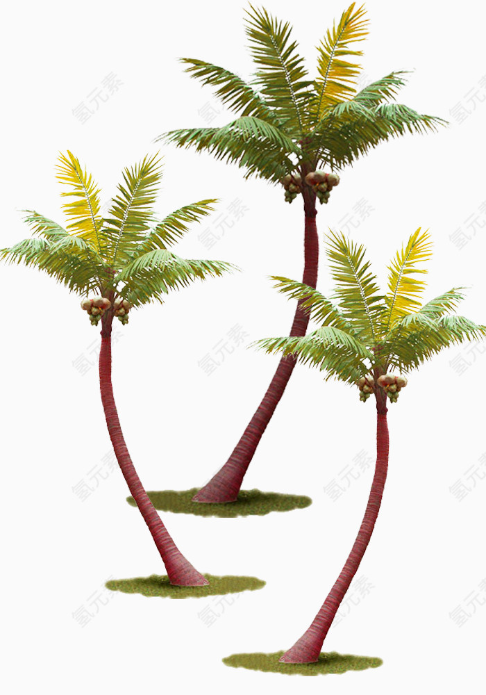 高大的摇曳椰子树