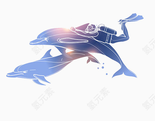 海豚与潜水员