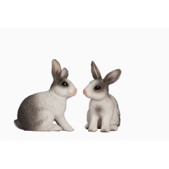 两只灰兔