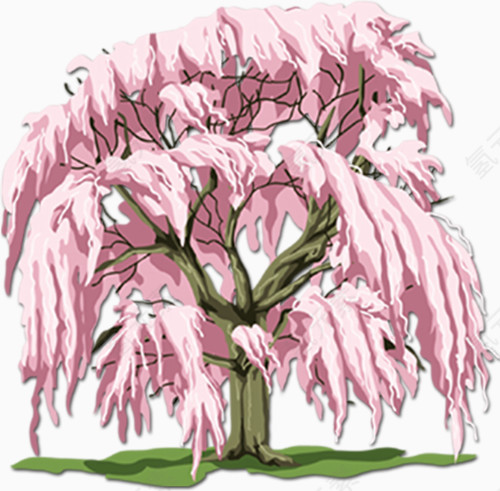 一棵樱花树