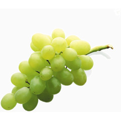 成熟葡萄提子