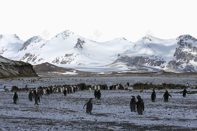 美丽南极雪