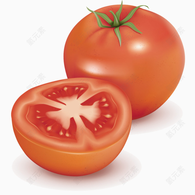 矢量手绘番茄