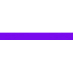 紫色分类条