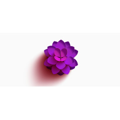 紫色的花素材