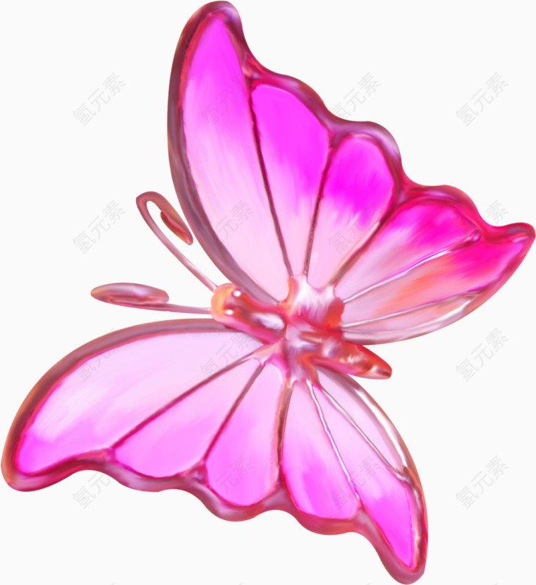紫红色蝴蝶