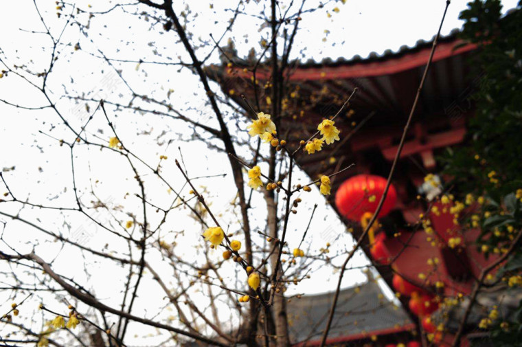 佛教寺庙下载装饰设计免抠免费