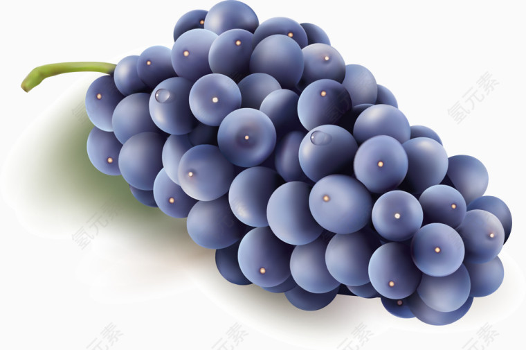 农副产品之新鲜葡萄