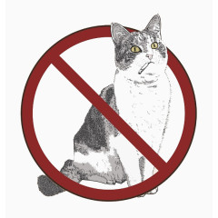 禁止猫咪