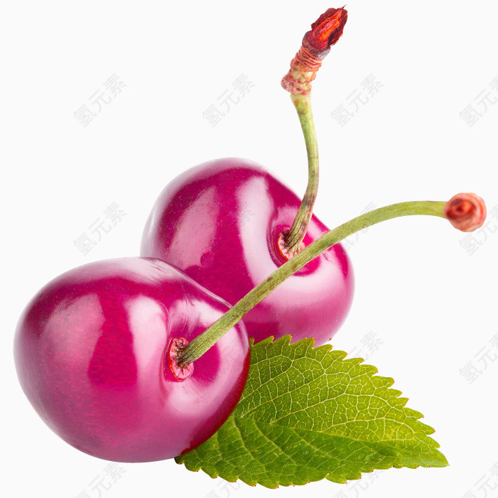紫红色美味樱桃装饰图案