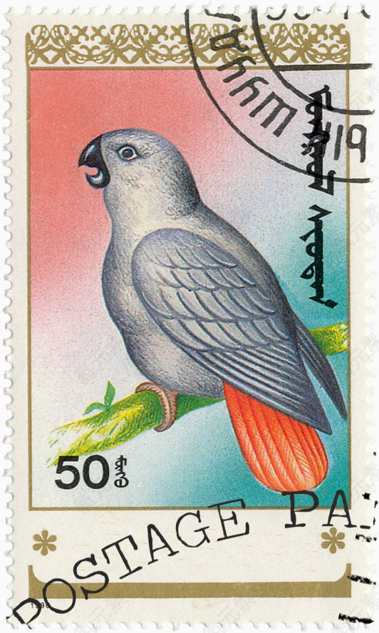 可爱鹦鹉邮票