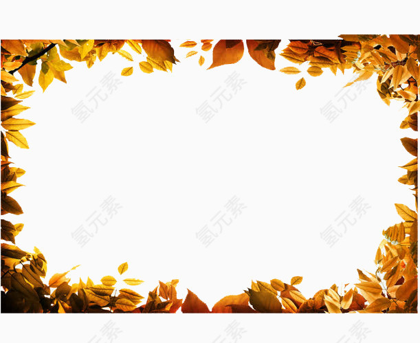金色叶子视频框