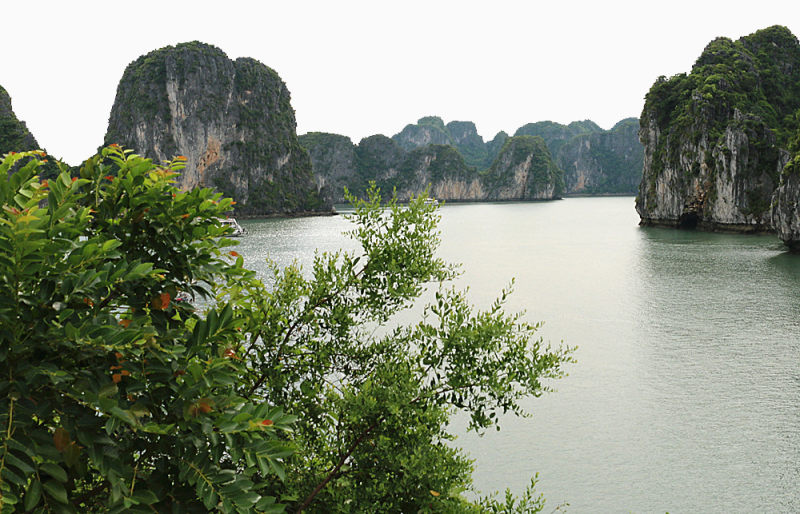 越南下龙湾旅游下载