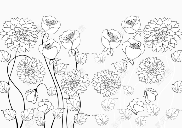 线描手绘花卉装饰矢量图