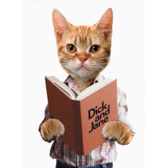 创意猫咪看书造型