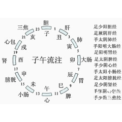 十二时辰养生图